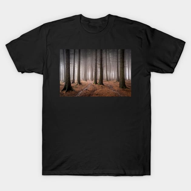 Misty Sitka Spruce Forest Scene T-Shirt by TonyNorth